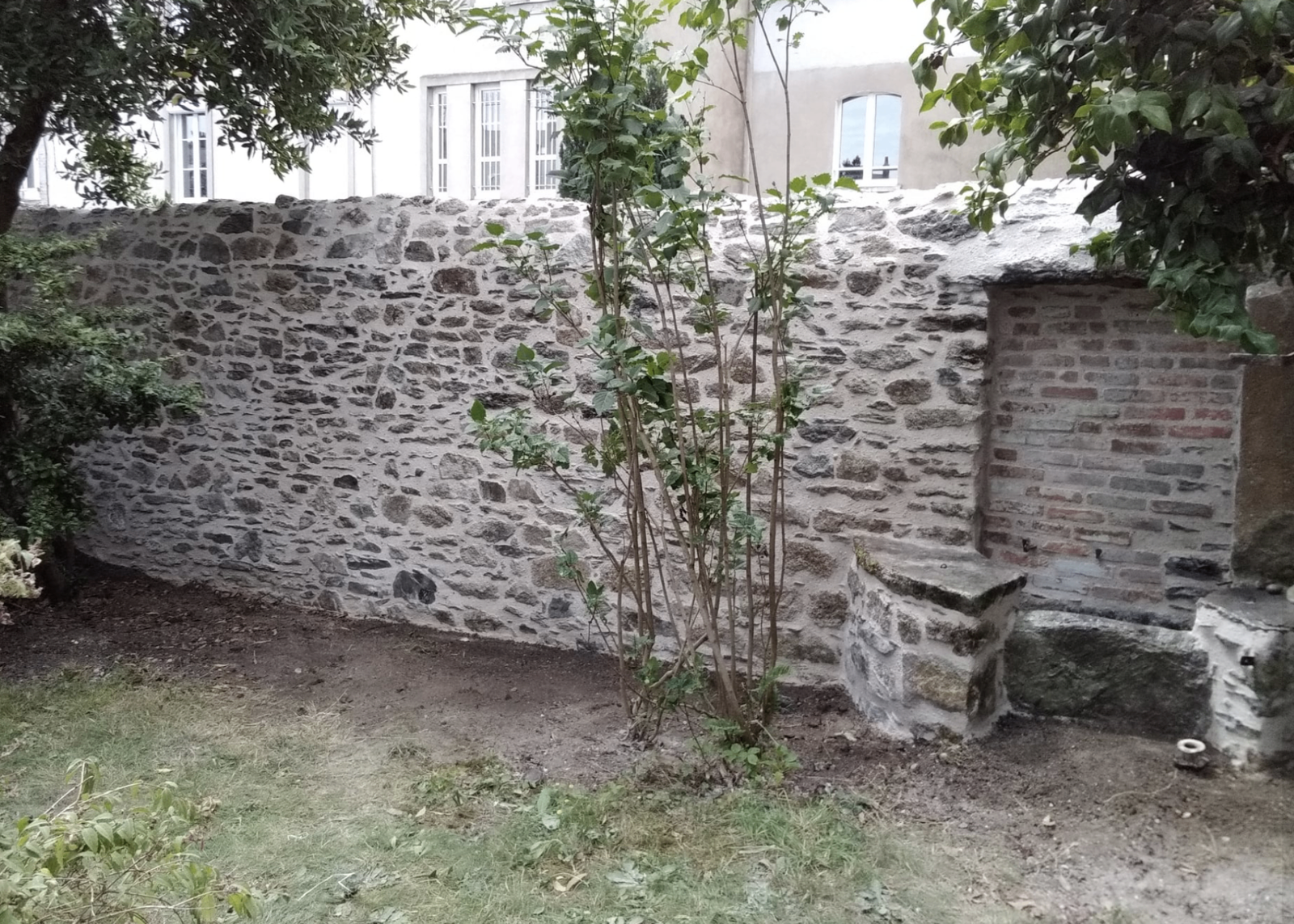 Mur en pierre avec végétation intégrée